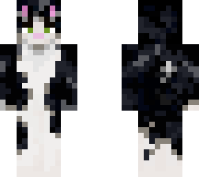 black and white cat