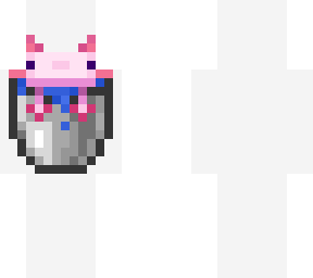 bucket of water and axolotl