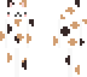 kitty