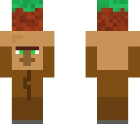 villager hanging grass block