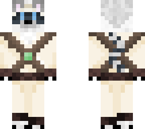 racoon wanderer