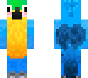 blue parrot