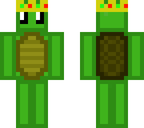 clean turtle