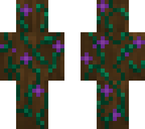 lilypad smp npc 25
