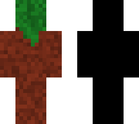 tierra