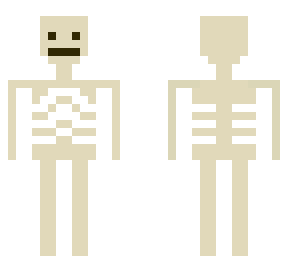 esqueleto