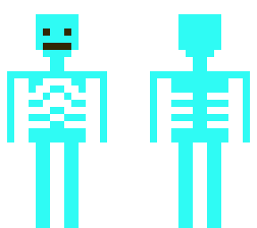 esqueleto