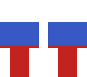 russian flag skin
