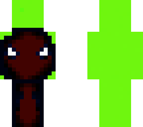 spider dream