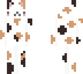 kitty