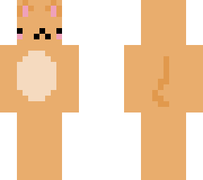 orange tabby with a belly thing