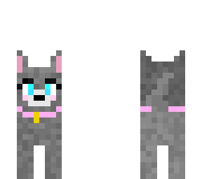 cute dog