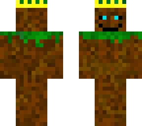dirt guy
