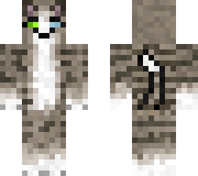 falcon-star ( my warrior cat oc )