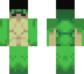 mr. turtle