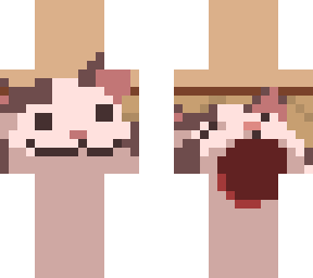 popcat minecraft skin