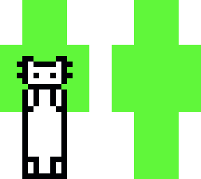 long cat dream
