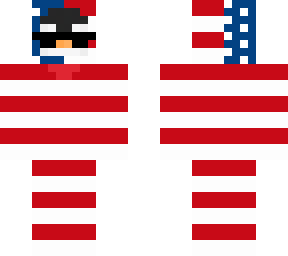usa penguin