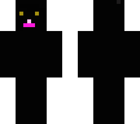 black witch cat
