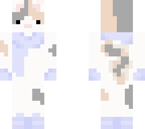 calico cat