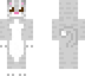 grey cat
