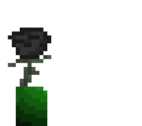 decayed rose