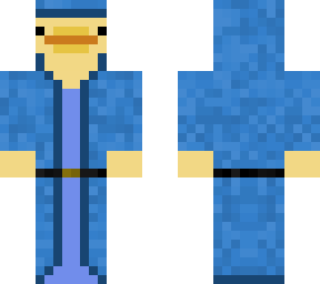 aqua duck