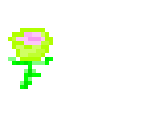budding rose