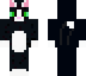 black & white cat