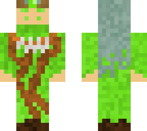 druid | soul knight