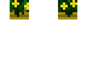 flower head