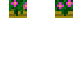 pink flower head decoration