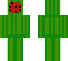 the watermelon