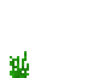 grass