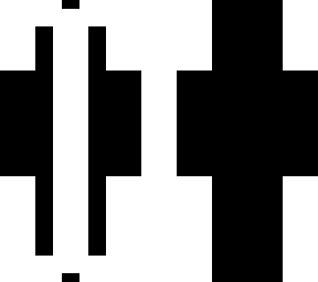 a bone