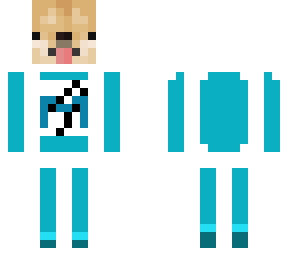 teal/white space doge