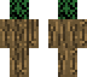 tree with leaves