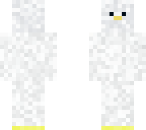 cute duck man