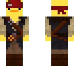 pirate duck