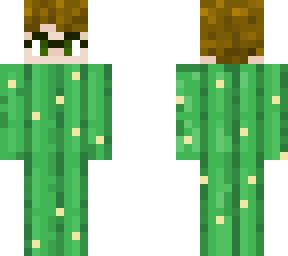 revised cactus gal