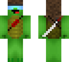 turtle dude