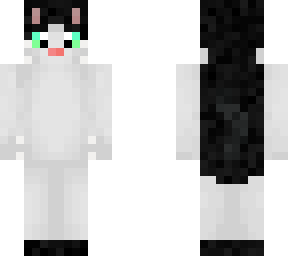 my cat