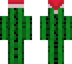catus christmas skin for hide n seek
