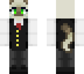 siamese cat-theragdollcat