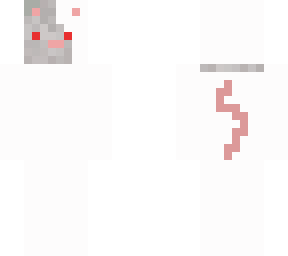 cute rat albino
