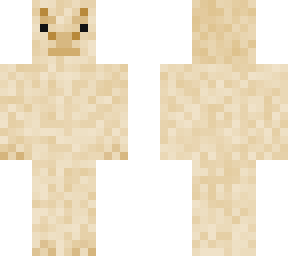 llama skin base