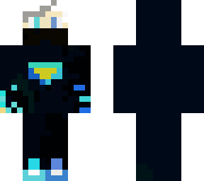 dash ninja