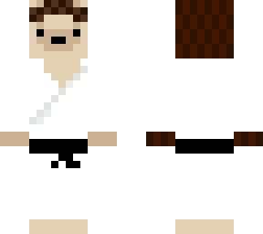 karate hadgehog