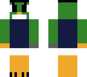 budgy parrot
