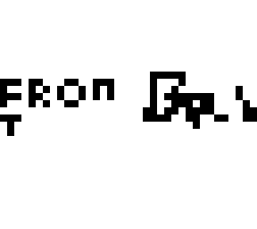 skin template